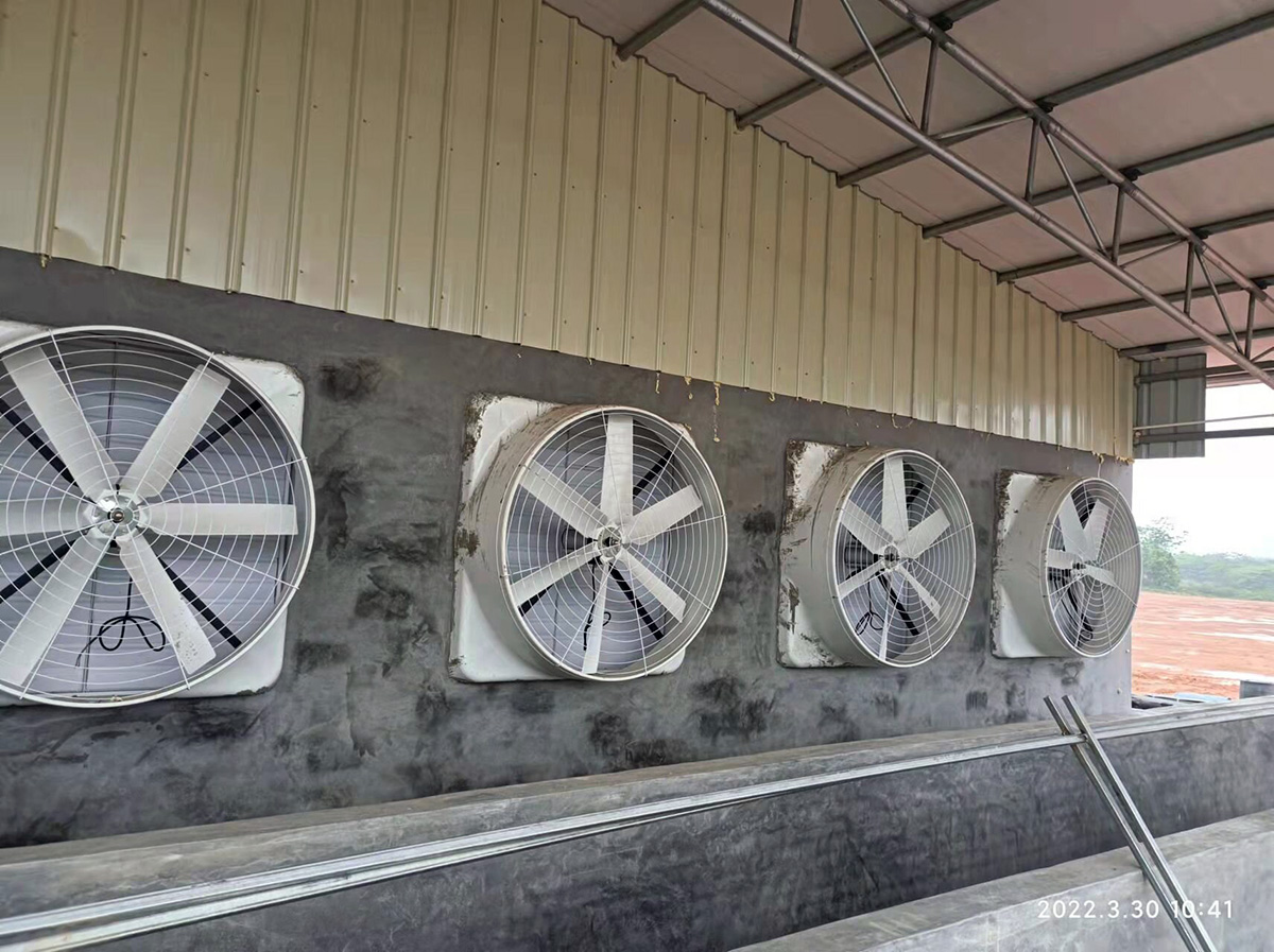 廣州水漫庭負(fù)壓風(fēng)機(jī)+濕簾 廠(chǎng)房通風(fēng)降溫超級(jí)組合(圖1) pic(21)_proc.jpg